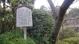 美しい静かな庭園でゆとりの時間が持てた。