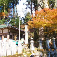 天気予報サイトで紅葉は落葉になっていましたが、まだ楽しめます