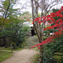 山門の前の紅葉