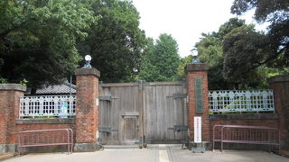 初めて訪問してきました