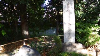 第九代水戸藩藩主のブレーンであった人物だそうです