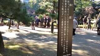 当時はもっと多くの松が植えられていたそうです。