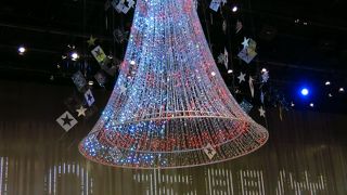 眺めるだけでも楽しい