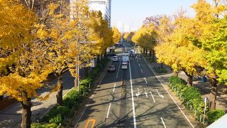 ある意味、YOKOHAMAを象徴する