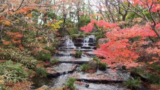 気持ちよい庭園