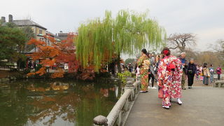 前回一部だけ歩いて誤った印象を持っていた。一応、庭園風の公園になっている。