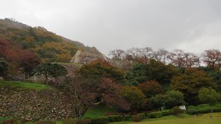 見所があります