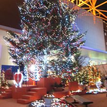 クリスマスツリー