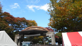 コンサートなどのイベント