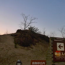 駐車場からの入り口付近