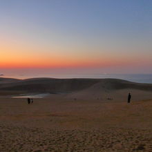 海岸の方に人々が向かっています