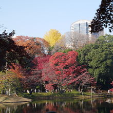 秋には紅葉が美しいです。