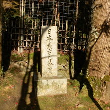 傍らには「日本最古之茶園」と書かれた石碑が建てられていました