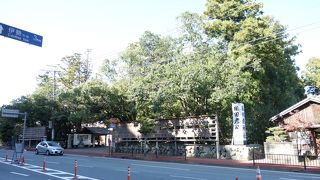 みちをひらく方向性を示されたかな？　＠猿田彦神社