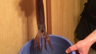 銀座魚ばか はなれ