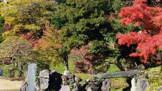 竹生島の少し南に行った辺りが、一番きれいに見れました。