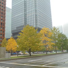 ビルの上部に靄がかかり幻想的な風景