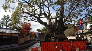 横を流れる明神川の守護神。