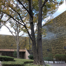 落ち着いた色調の建物