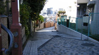 残念ながら富士山は見えませんでした