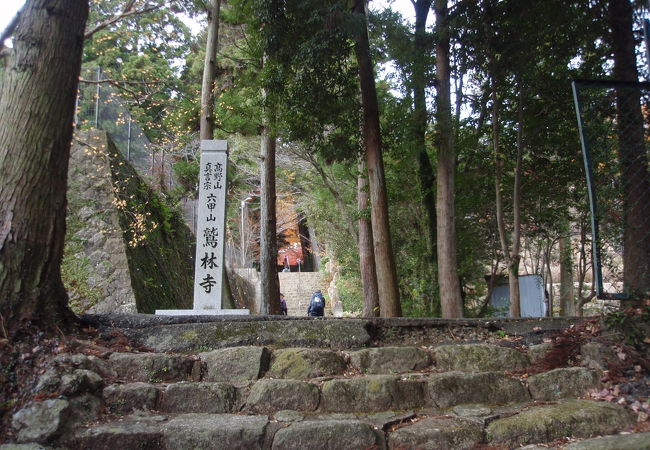 鷲林寺の紅葉