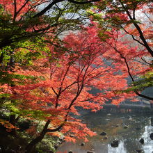 橋の上から見下ろす紅葉。