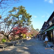 金沢城を遠景で望む。