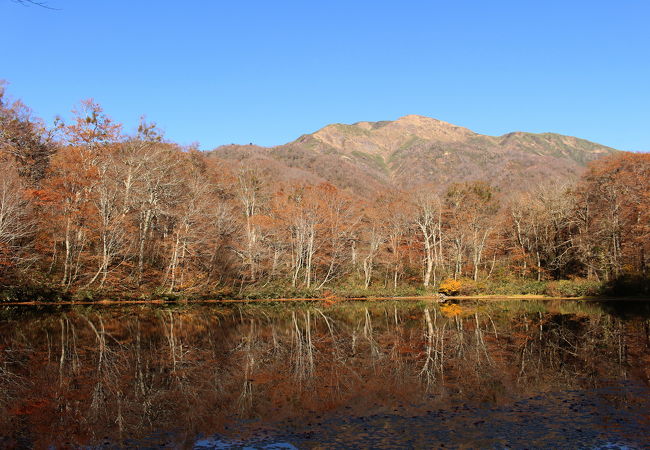 紅葉を狙って行ったのに、残念ながら、すでに終わっていました。。。