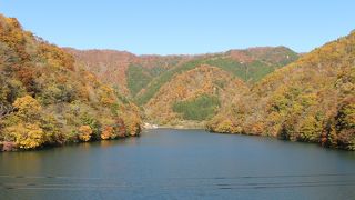 紅葉がきれいでした。