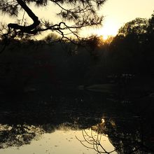 夕暮れ時の池