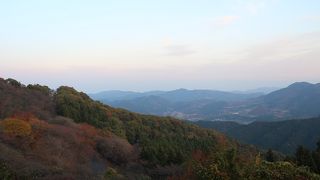 冬桜で有名、紅葉は終わりかけ、冬桜はまだポツポツ咲きでした。（11月中旬）