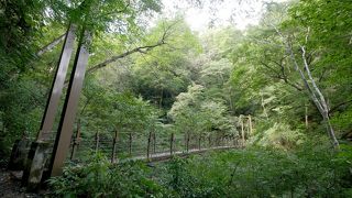 吊り橋のある4号路がハイキングの雰囲気を楽しめる手軽なトレイル