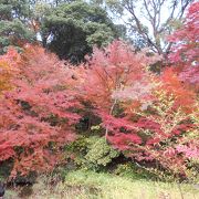 起伏のある大きな公園