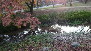 以前の流れは琵琶湖疏水から引かれていた。