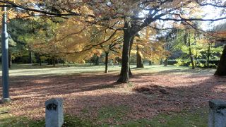 紅葉も黄葉もちょうど盛り、