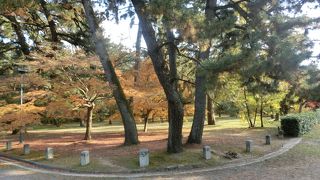 野鳥の楽園にも