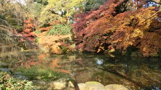 紅葉が見ごろだった