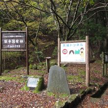 トンネルの案内版（下田側）