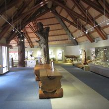 この巨木のテーブルは、火山灰に埋もれて朽ちなかった丸太です