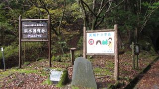 歴史を感じる古びた隧道