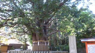 旅の安全を願う