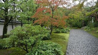 見応えの有る庭園