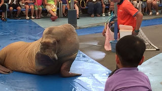 昔は良かったのに