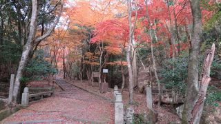 紅葉が素晴らしかった