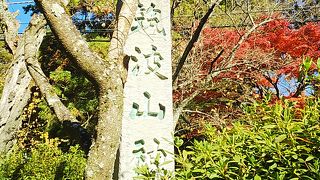 落ち着いた雰囲気の趣ある神社です。