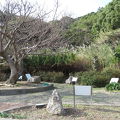 ニガキ化石公園