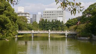 河底池を南北に貫く橋
