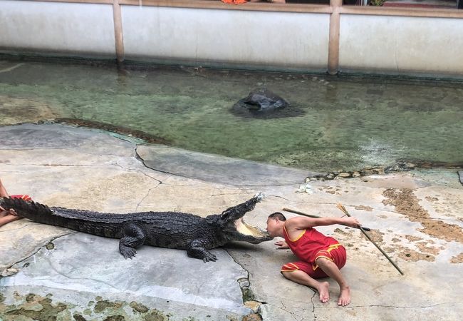 絶対行くべきな動物園