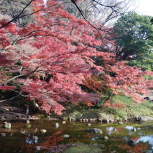川沿いの紅葉が美しい。
