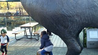 晴れた日の動物園